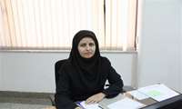 محکومیت سارقان تجهیزات برقی در دامغان